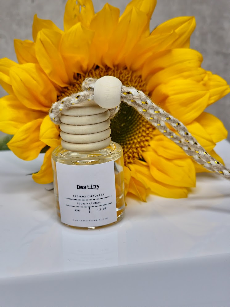 Destiny Car Diffuser - Hanging