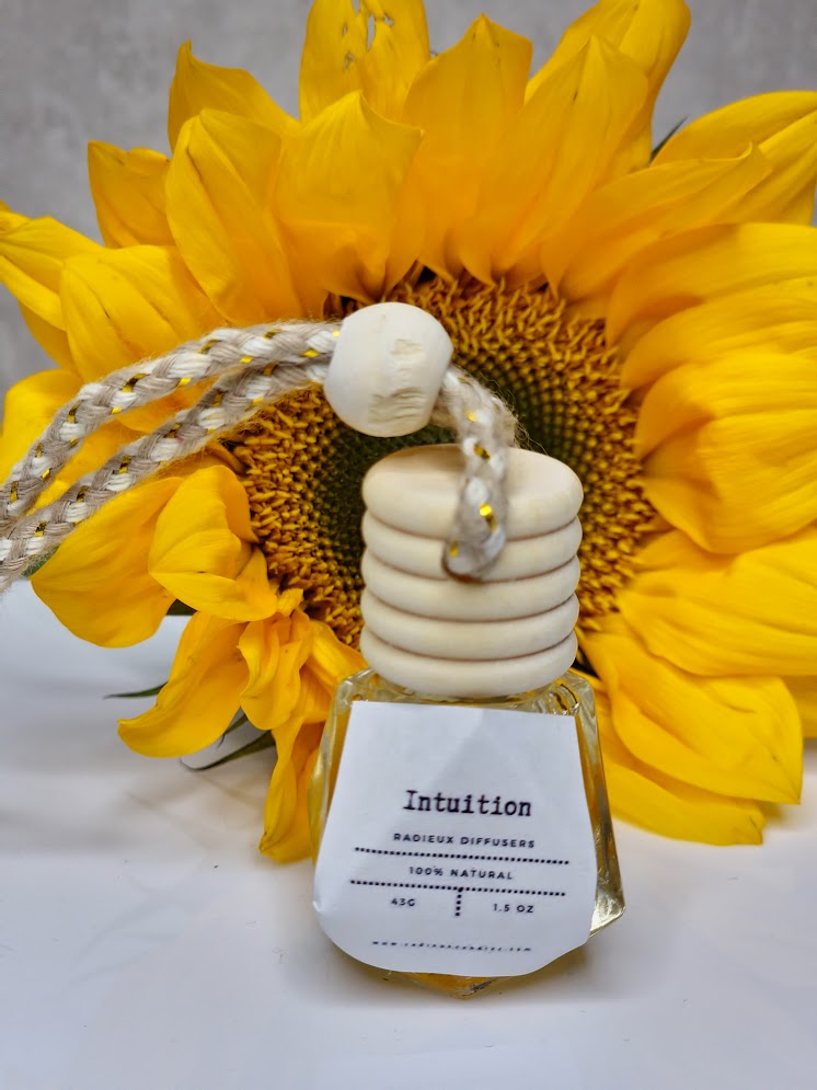 Intuition 2.0 Car Diffuser -Hanging